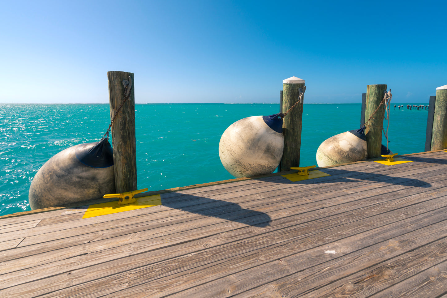 Buoy