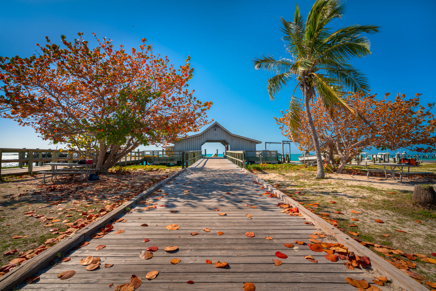 Ocean Pier